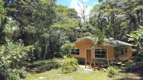 Forest Garden House